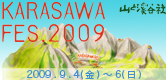 karasawa_FES2009