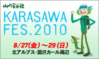 karasawa_FES2010